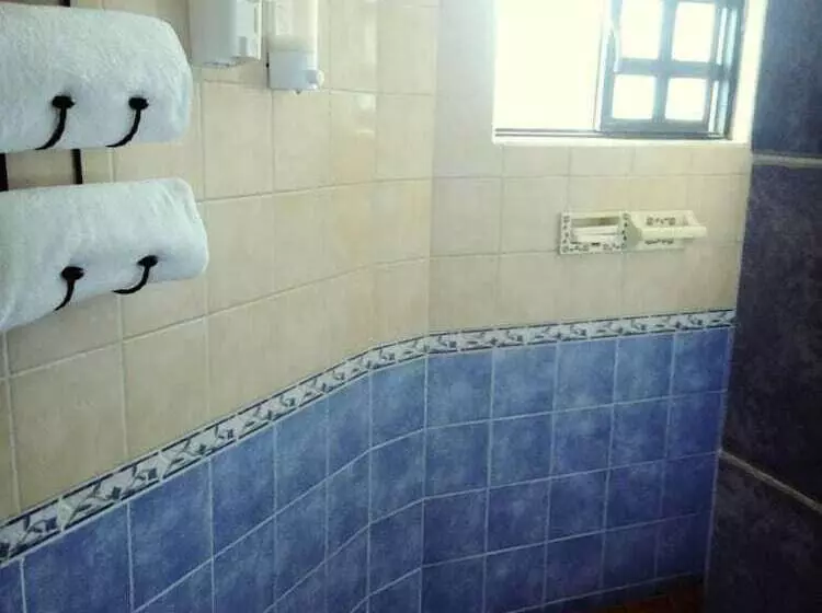Fotos del hotel Villa Manzanares:  16