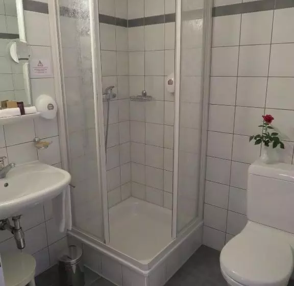 Fotos del hotel Hôtel Du Port:  5