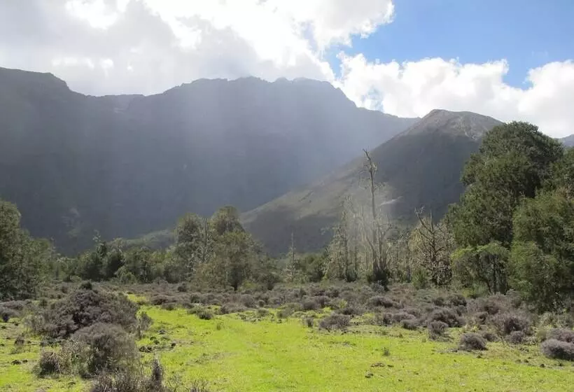 Fotos del hotel Ngare Sero Mountain Lodge:  17