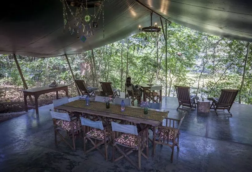 Fotos del hotel Ngare Sero Mountain Lodge:  19