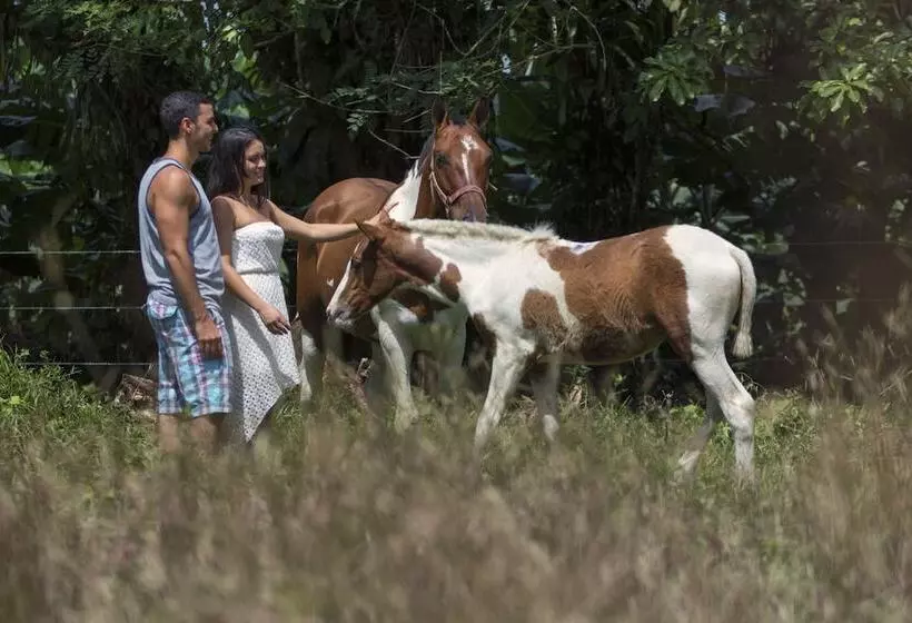 Fotos del hotel Rancho Cerro Azul:  15