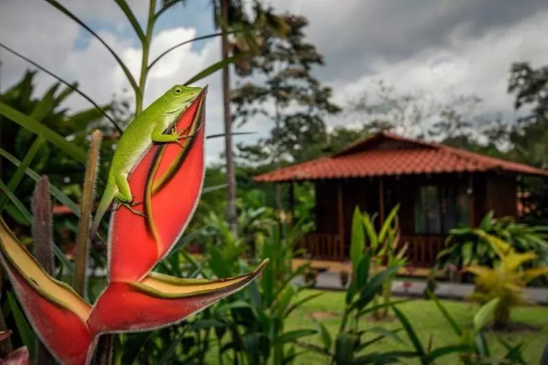 Fotos del hotel Rancho Cerro Azul:  21