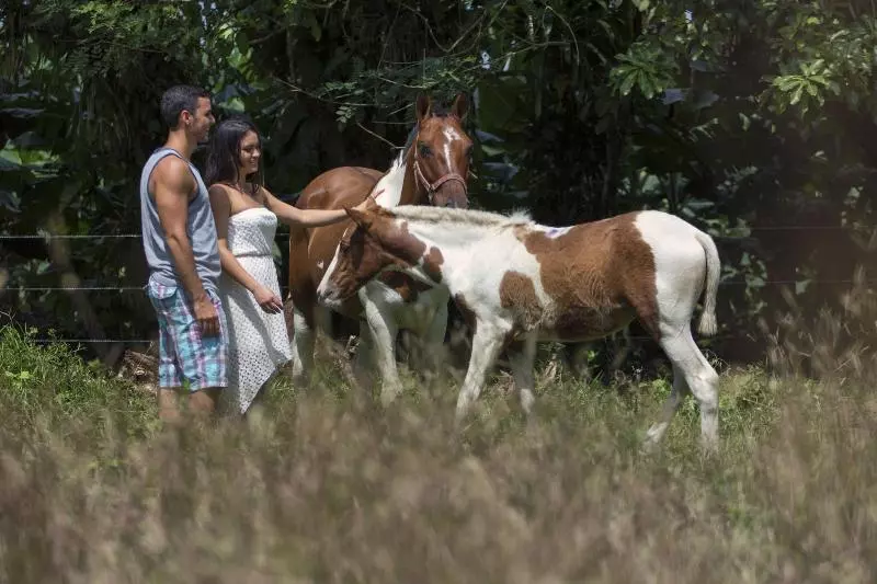 Fotos del hotel Rancho Cerro Azul:  11