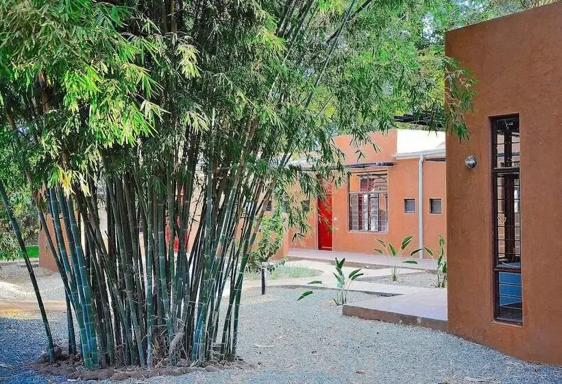 Fotos del hotel Green Hills Of Africa:  24