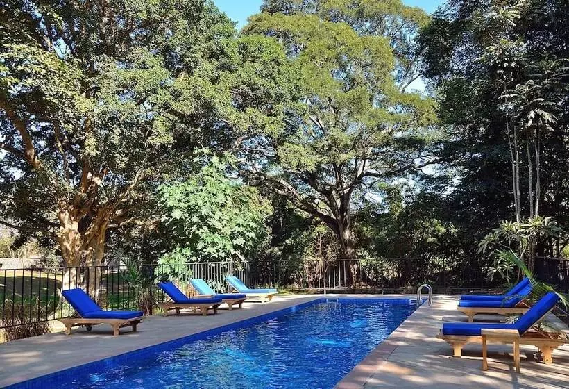 Fotos del hotel Green Hills Of Africa:  25
