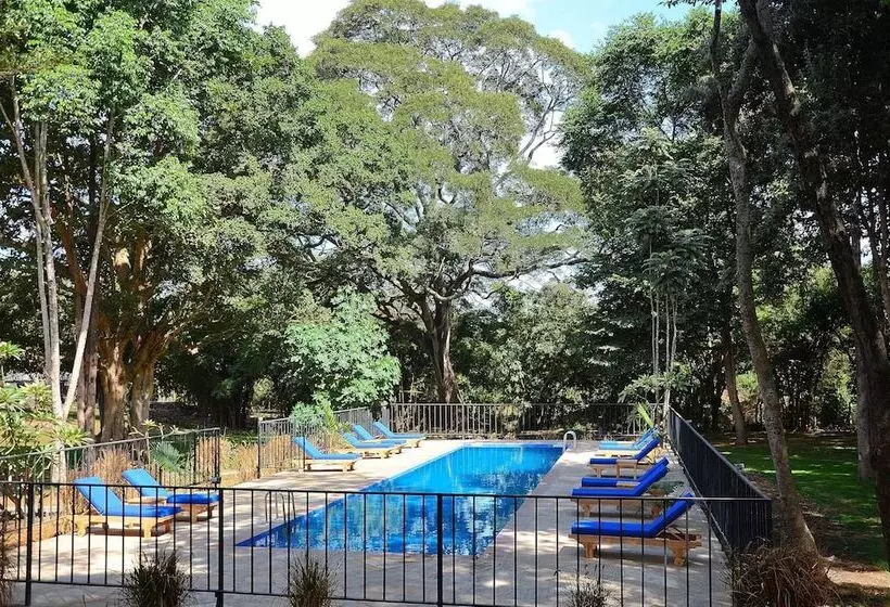 Fotos del hotel Green Hills Of Africa:  23