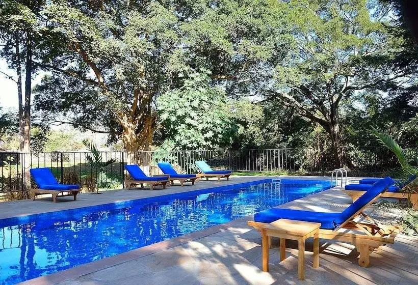 Fotos del hotel Green Hills Of Africa:  12