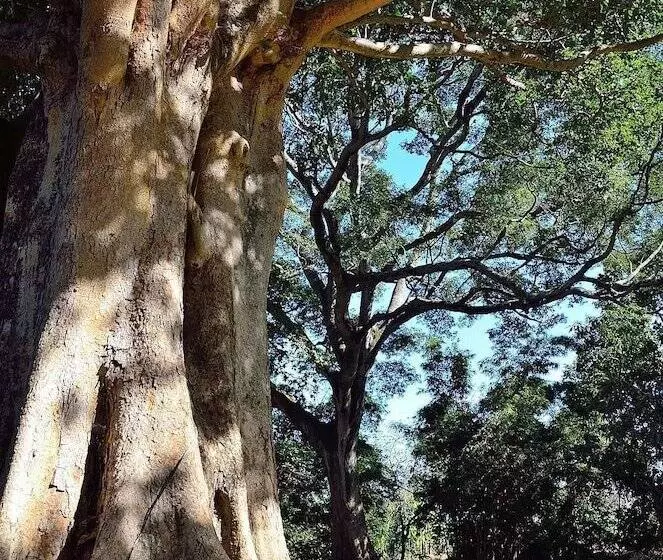 Fotos del hotel Green Hills Of Africa:  10