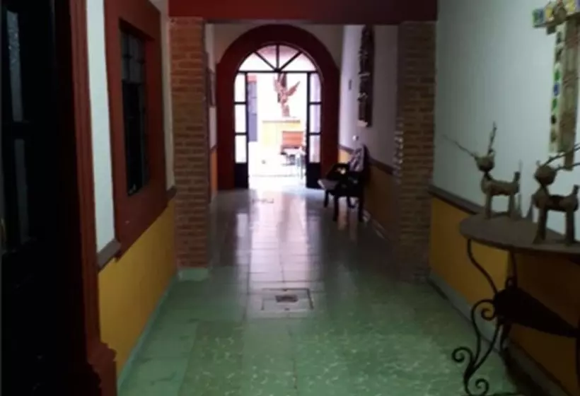 Animas 16