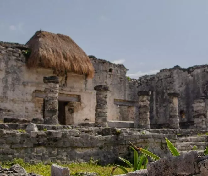 Fotos del hotel Encantada Tulum:  14