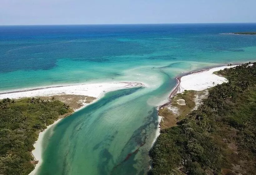 Fotos del hotel Encantada Tulum:  7