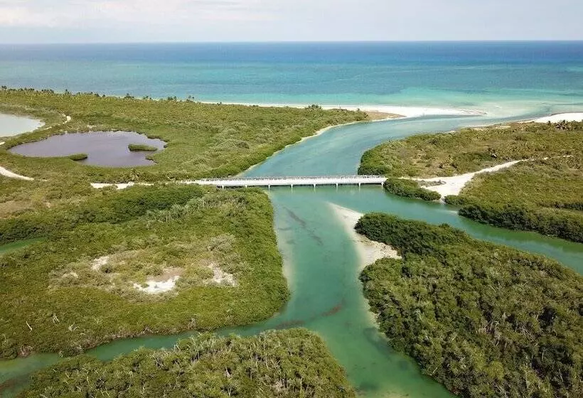 Fotos del hotel Encantada Tulum:  5