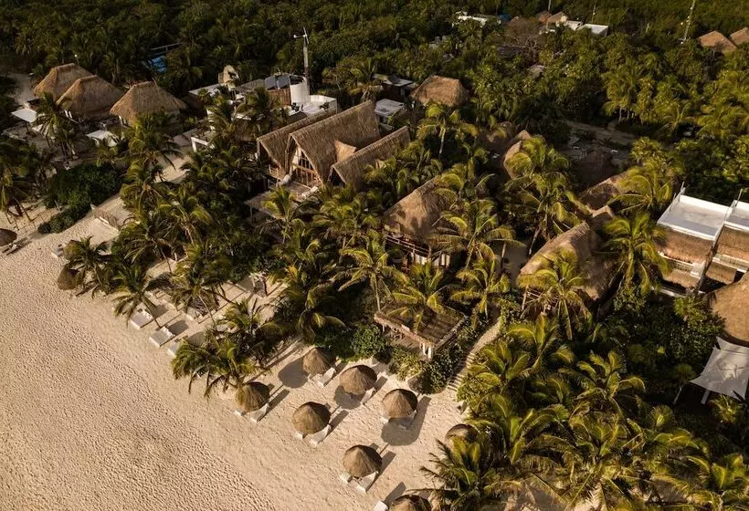 Fotos del hotel Encantada Tulum:  15