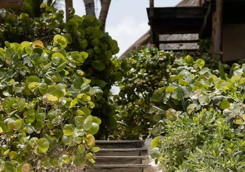 Fotos del hotel Encantada Tulum:  16