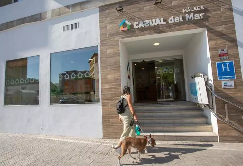 Fotos del hotel Casual Del Mar Málaga:  14
