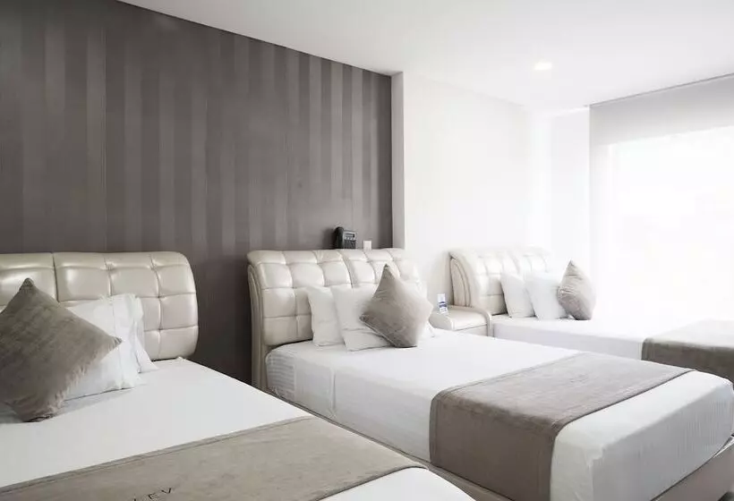 Fotos del hotel Solev:  8