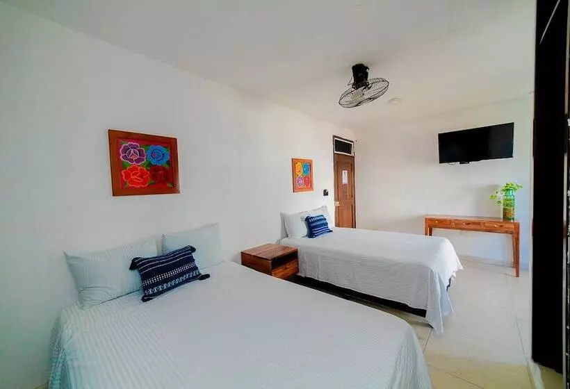 Fotos del hotel San Vicente:  9
