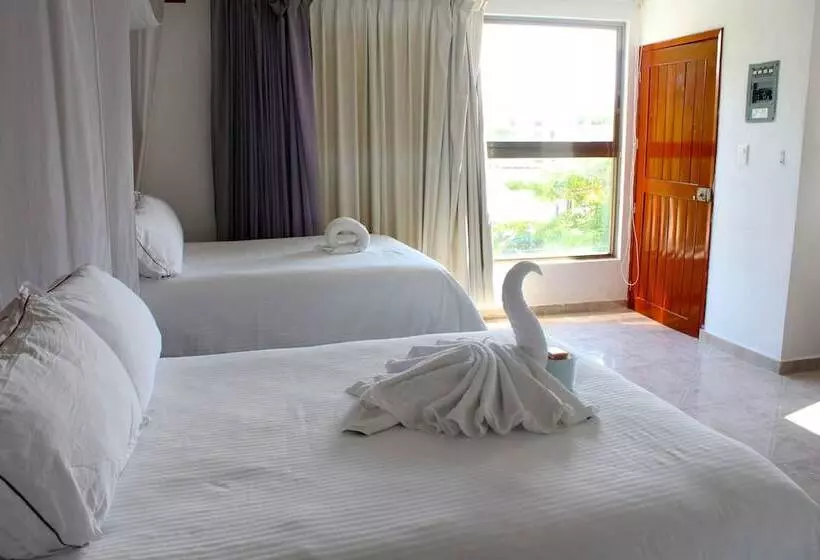 Fotos del hotel San Vicente:  1