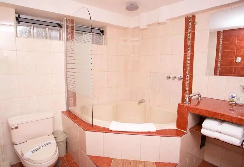 Fotos del hotel Arcangel:  6