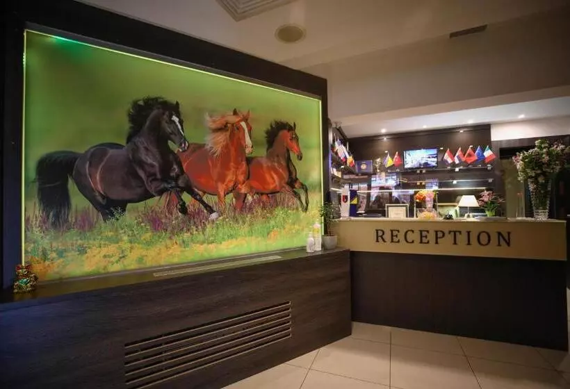 Fotos del hotel City Boutique:  2