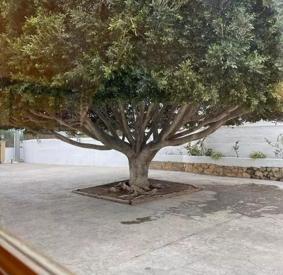 Fotos del hotel Villa Morena:  14