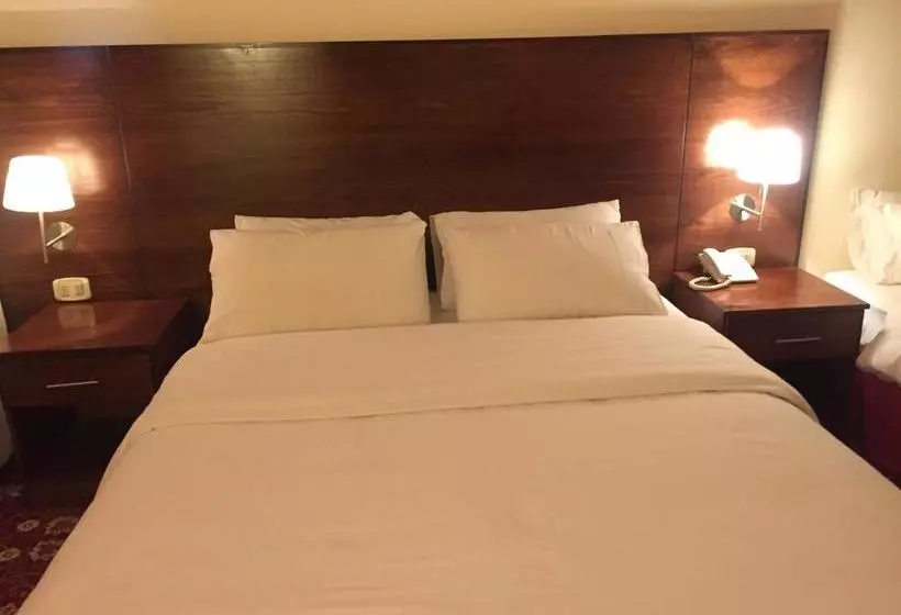 Fotos del hotel Petra By Night:  12