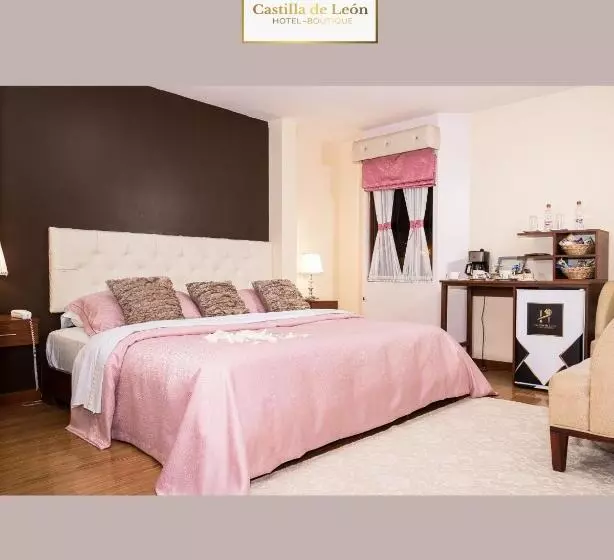 Fotos del hotel Boutique Castilla De Léon:  5