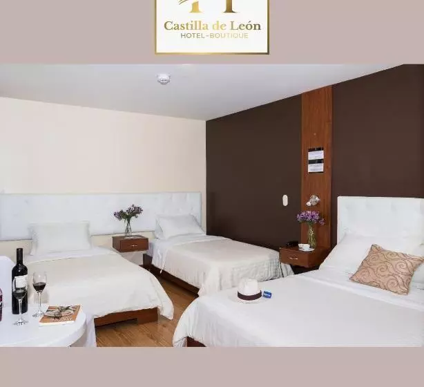 Fotos del hotel Boutique Castilla De Léon:  13