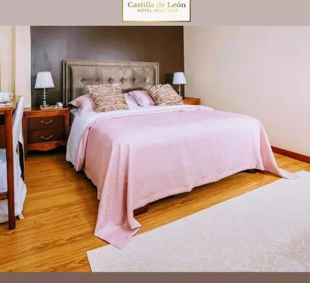 Fotos del hotel Boutique Castilla De Léon:  15