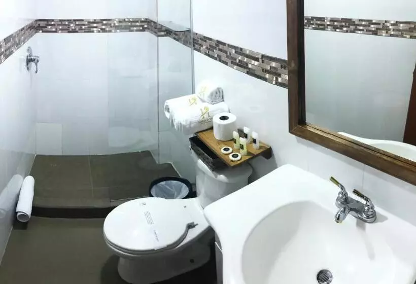 Fotos del hotel Boutique Castilla De Léon:  4