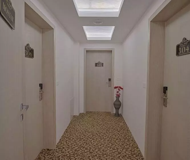 Fotos del hotel New:  15