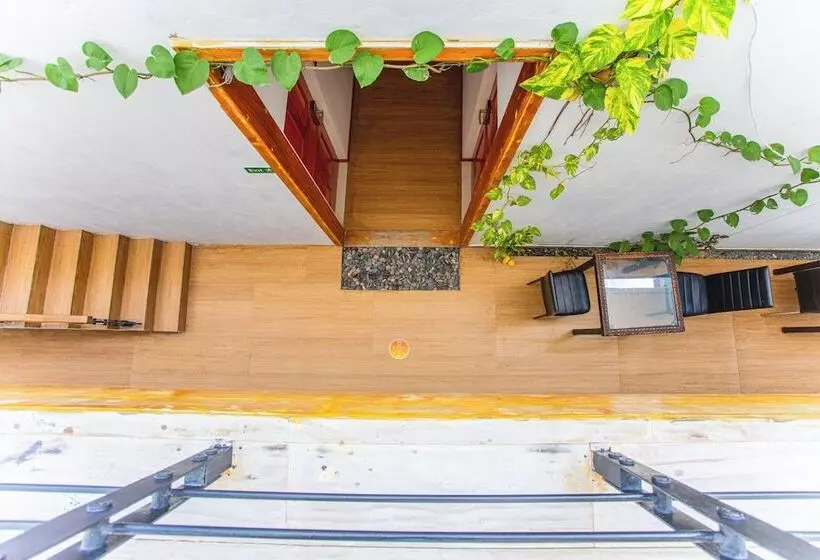 Fotos del hotel Alaka At Maafushi:  18