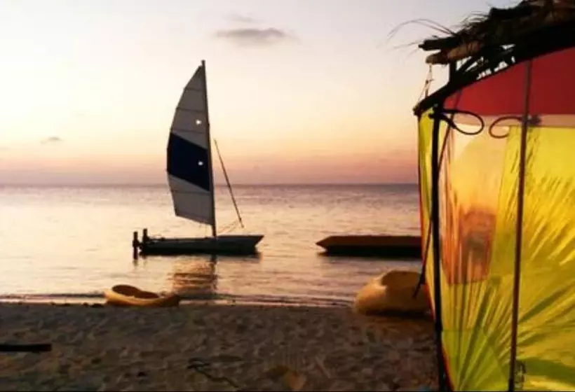 Fotos del hotel Alaka At Maafushi:  13