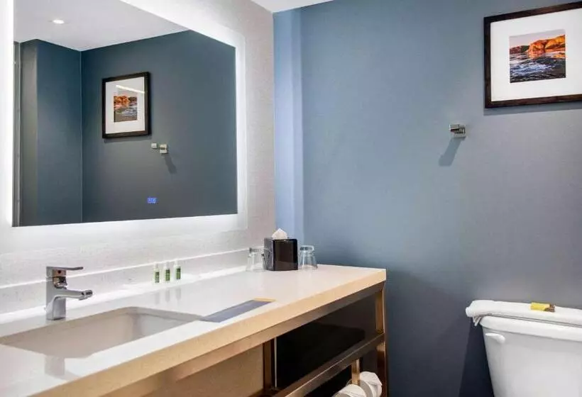 Fotos del hotel Cambria Hotel Phoenix- North Scottsdale:  10