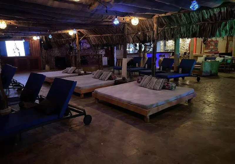 Fotos del hotel Isla Real:  21