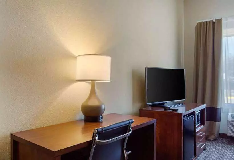 Fotos del hotel Comfort Inn & Suites Sw Houston Sugarland:  23