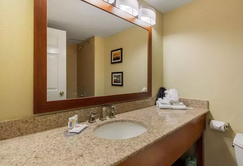 Fotos del hotel Comfort Inn & Suites Sw Houston Sugarland:  8