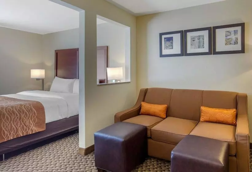 Fotos del hotel Comfort Inn & Suites Sw Houston Sugarland:  19