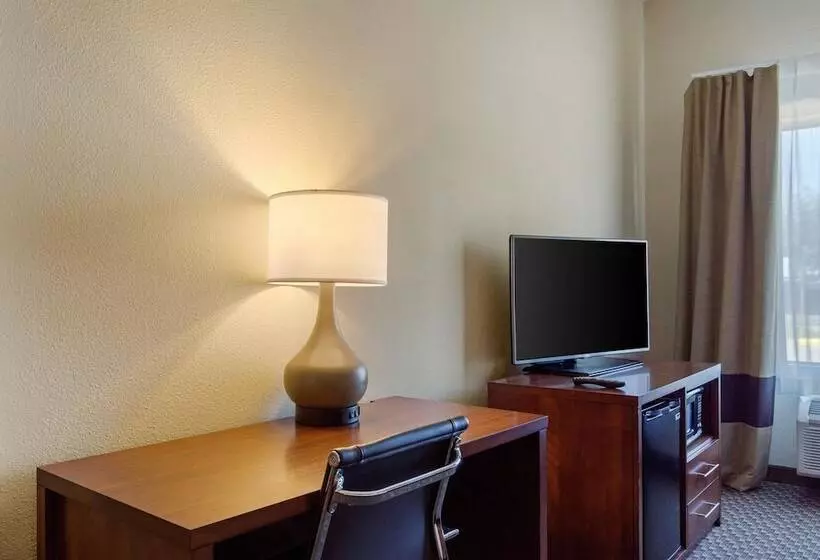 Fotos del hotel Comfort Inn & Suites Sw Houston Sugarland:  25