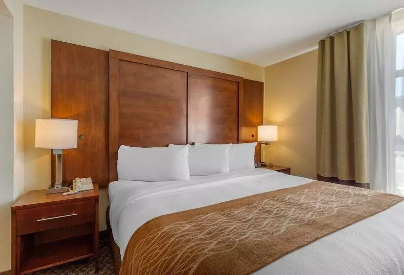 Fotos del hotel Comfort Inn & Suites Sw Houston Sugarland:  17