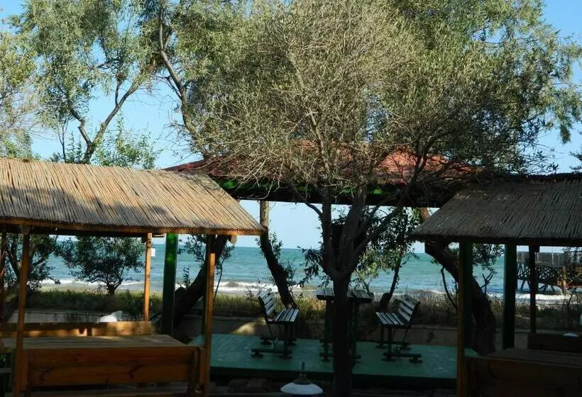 Fotos del hotel Mavi Dalga:  19