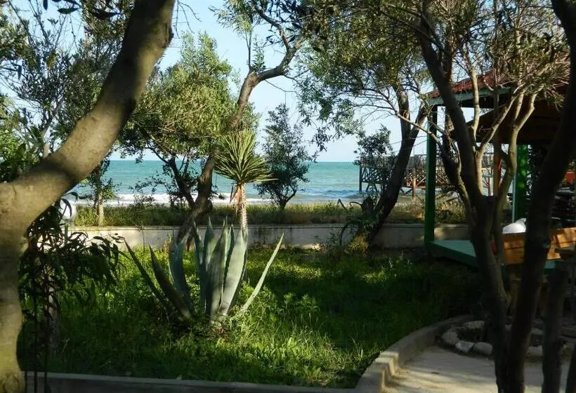 Fotos del hotel Mavi Dalga:  22