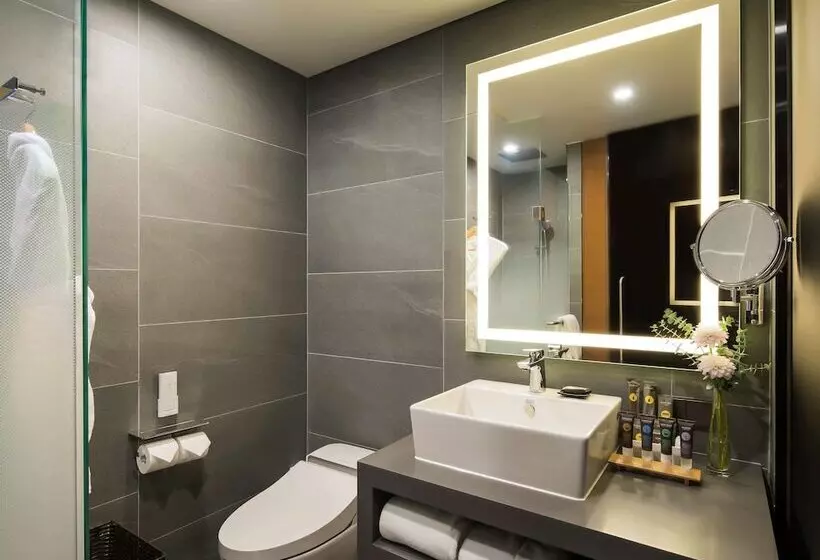 Fotos del hotel Novotel Ambassador Seoul Dongdaemun S & Residences:  11