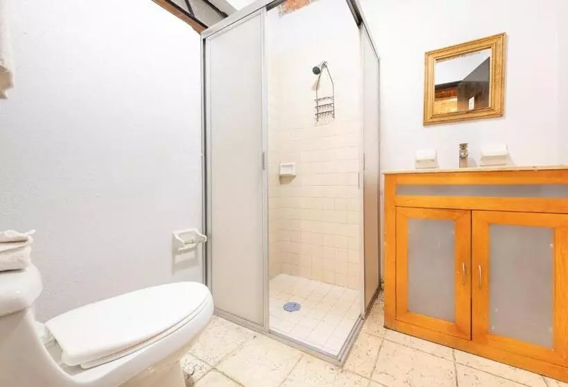 Fotos del hotel Meson Del Conde:  12