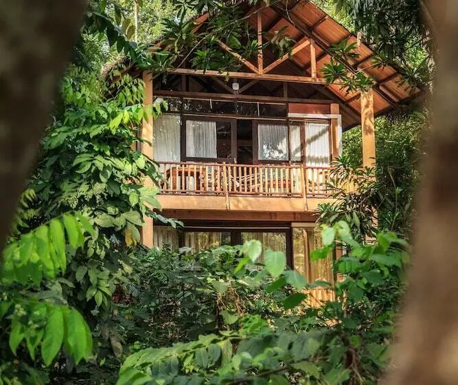 Fotos del hotel Jungle Village By Thawthisa:  19