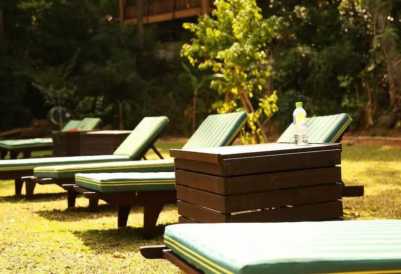 Fotos del hotel Jungle Village By Thawthisa:  4