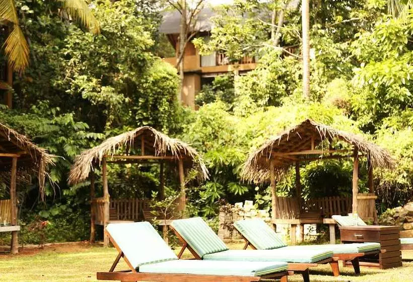 Fotos del hotel Jungle Village By Thawthisa:  9