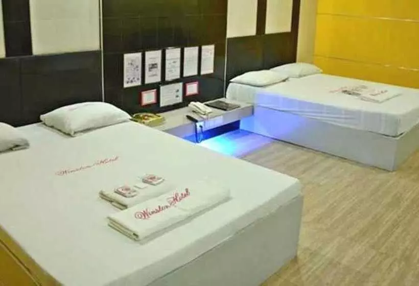 Fotos del hotel New Winston:  13