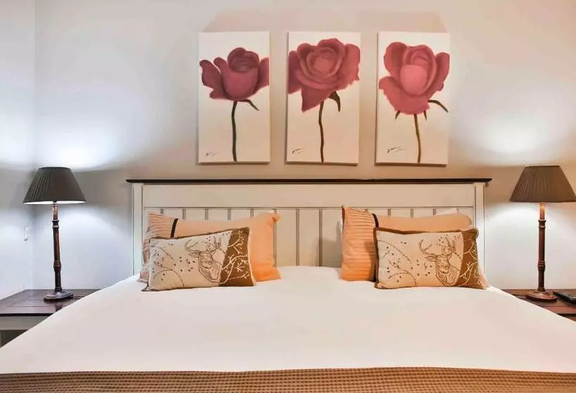 Fotos del hotel Accommodation @ Van's:  24