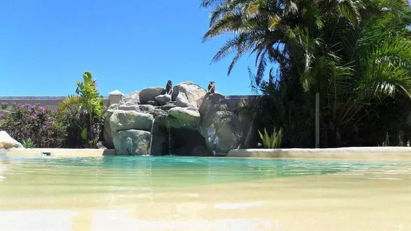 Fotos del hotel Afro Chic Guest House:  2